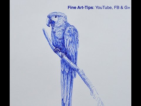 Drawing a parrot with a ballpoint pen., Ekaterina B