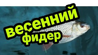 Фидер ранней весной! Тактика ловли на фидер на реке весной.Открыли Фидерный сезон! Рыбалка на Плотву