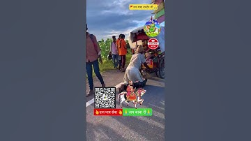 🚩14वीं दण्डयात्रा🙏असाड़ा से रामदेवरा🙏 #ramdevra #ramdev #ramsapir #runicha #jaibabaki #ram