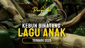 LAGU ANAK TERBARU 2025 - Pergi ke Kebun Binatang - Official Lyrics Video