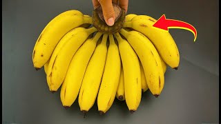 Bananas Stay Fresh For A Whole Month Old Farmers Genius Trick Revealed
