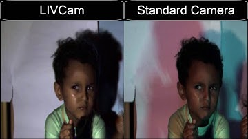 LIght Invariant Video Imaging (LIVI) Color Constancy