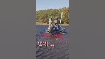 Thumbnail of How Ocean Spray Farmers Harvest Billions of Cranberries