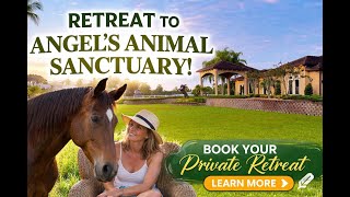 Experience Healing at Angel's Animal Sanctuary | Book Your Private Retreat Today