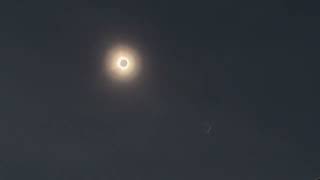The Eclipse, Dayton, Ohio, iPhone 14 with eclipse glasses, April 8th, 2024