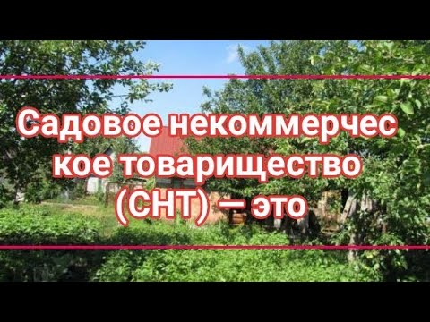 Садовое некоммерческое товарищество (СНТ) 217-ФЗ