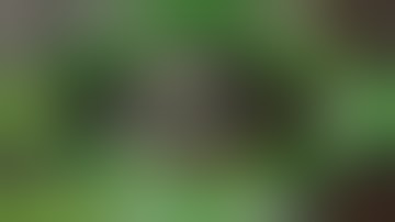 Re Unboxing and Testing The Ju1cebox Handeheld Rosin Press Starter Bundle