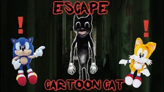 Sonic Plush - Escape Cartoon Cat!