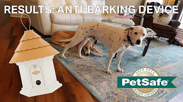 What device will make a dog stop barking?