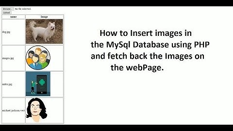 How to Insert images in the Database and fetch back the Images on the webPage.| Part 2 |
