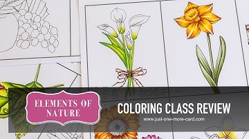Elements of Nature Coloring Class Review