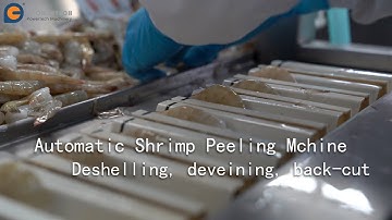 Automatic shrimp peeling machine, deshelling, deveining, back-cut integrated in one system