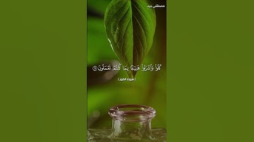تلاوة خاشعة من سورة الطور بصوت الشيخ مصطفى جيد برواية قالون عن نافع
