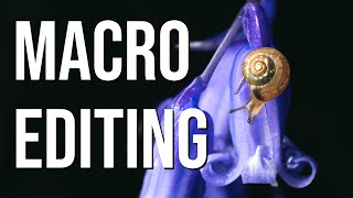 How I edit macro photos like a PRO (Lightroom & focus stacking tutorial)