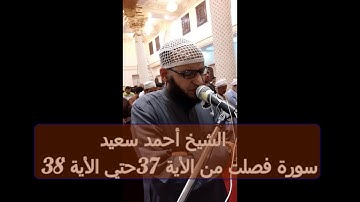 سورة فصلت من الاية 37 الي الاية 38  الشيخ أحمد سعيد صلاة التراويح رمضان 1440