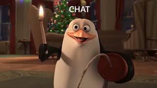 FoxyFurSure normal chat interaction FoxyFurSure normal chat interaction