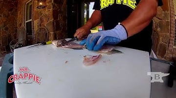 How To Fillet A Crappie Using the Slab Shaver!