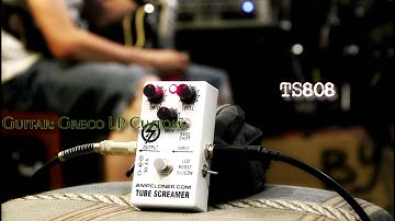 Ampclones Tube Screamer stompbox comparision: TS808 and asymmetrical clipping mod
