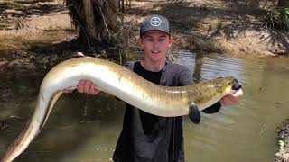 I Rescued a GIANT EEL from FLOOD WATERS!