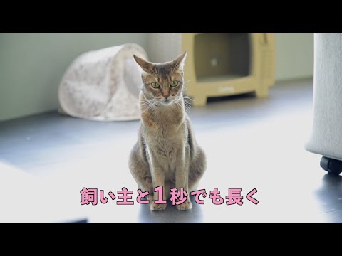 【家電王】猫の健康を害する大きな要因は〇〇！早期発見するにはどうしたらいい？スマホとボード型デバイスの連携で解決！家電王×RABO×スーパーミステリーマガジン「ムー」コラボ