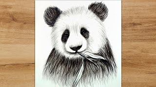 Realistic panda drawing sketch hanging on the tree, Try it now.