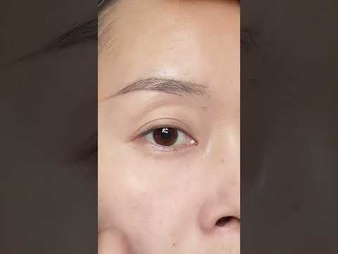 초보자부터 프로까지 | 모든 눈 모양을 위한 EYESHADOW | 당신의 눈을 위한 최고의 아이 메이크업!