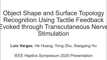 Vargas et al, Object Recognition using Transcutaneous Nerve Stimulation, IEEE Haptics Symposium 2020