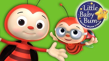 Ladybird Ladybird | Nursery Rhymes for Babies by LittleBabyBum - ABCs and 123s