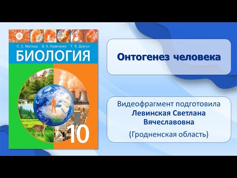 Тема 30. Онтогенез человека