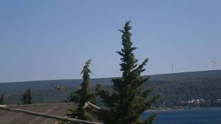 P7160147