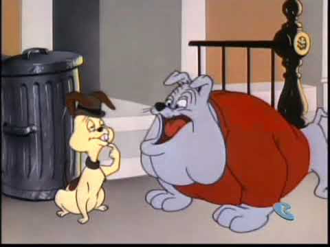 Looney Tunes - Spike and Chester (and Alfie) - YouTube