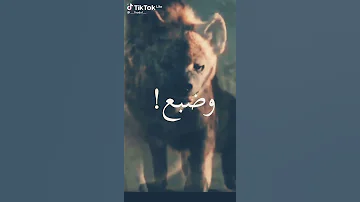 اسد وضبع و ديب 