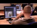Курс "Adobe Photoshop"