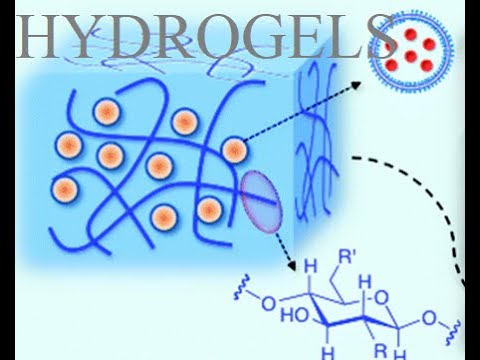hydrogel and Biomedical applications