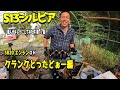【レストア】SR20DETエンジン腰下分解編 S13 シルビアを素人がキレイにしてみた件17話 車動画Vol106