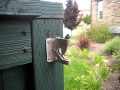 Traditional Gravity Latch.AVI