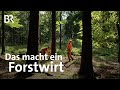 Forstwirt | Ausbildung | Beruf