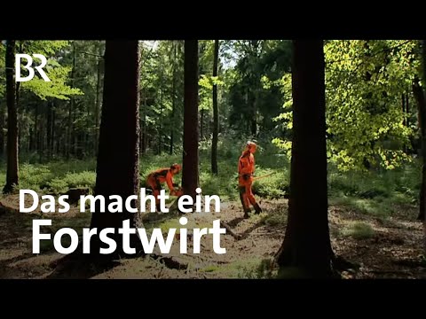 Video: Was ist in der Forstwirtschaft Schleudern?