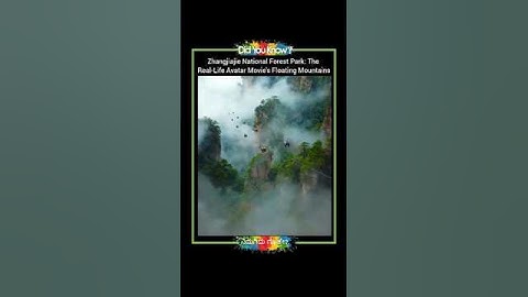 The Real-Life Avatar Movie