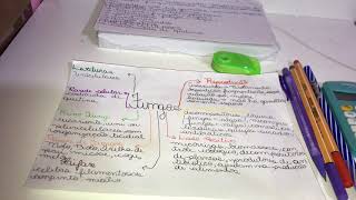 Mapa mental sobre os fungos