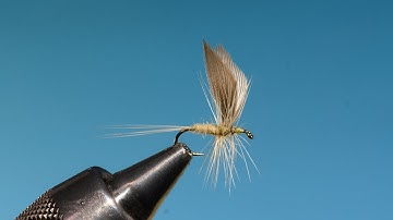 Little Marryat (from Preston Jennings) with Eric Austin