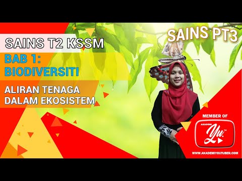 SAINS TINGKATAN 2 BAB 2.1 ALIRAN TENAGA DALAM EKOSISTEM