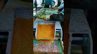 Skill Luar Biasa Pekerja Ini Saat Mengambil Telur Ikan