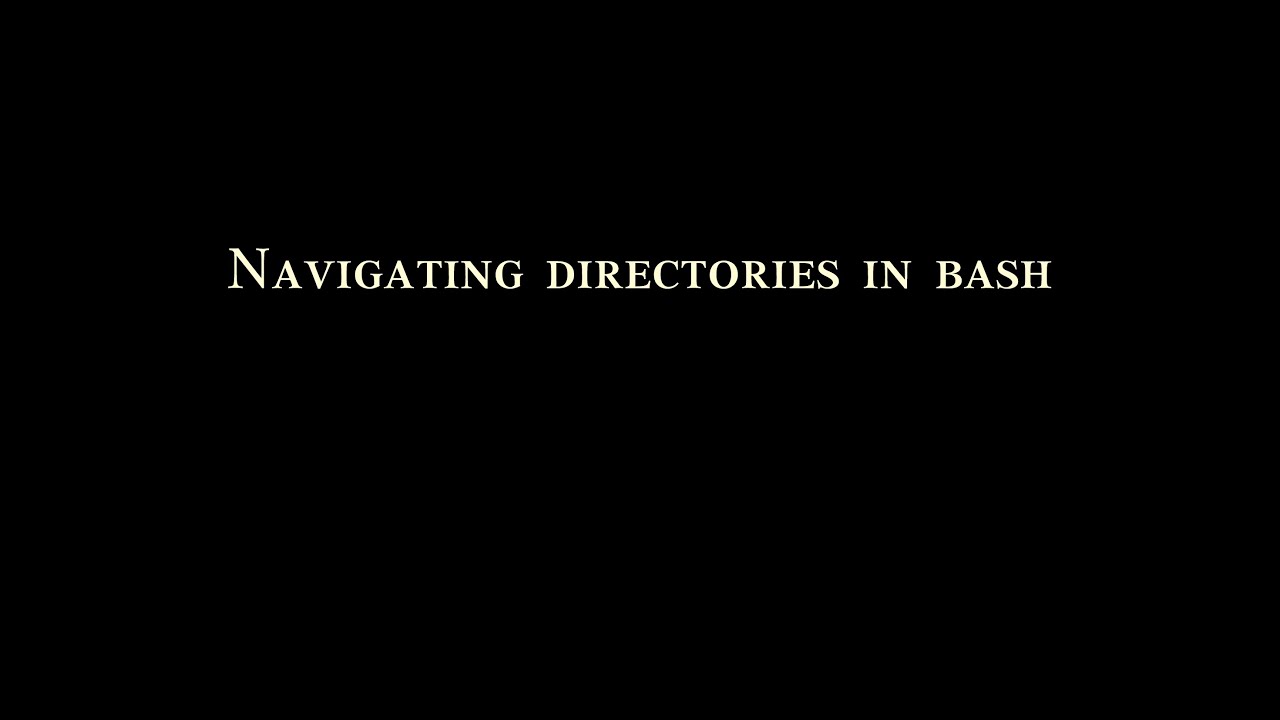 Navigating directories in bash