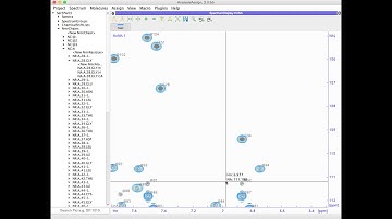 CcpNmr AnalysisAssign V3 Customising Peak Labels