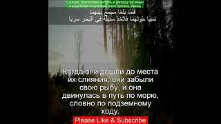 Сура Аль-Кахф 18:61 | Чтение Корана с русским переводом| Quran Translation Surah Al-Kahf  الكهف