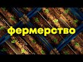 ПОЛНЫЙ гайд по фермерству, чаю и баффам - Генетика в [Rust/Раст]