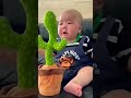 #cactus #doll baby cry 😂😂😂