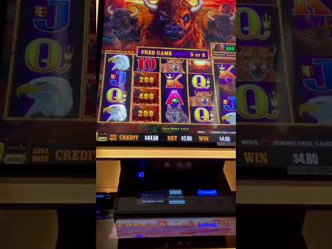 1xBet Casino Free Spins | How to Get Free Promo Code & wagered