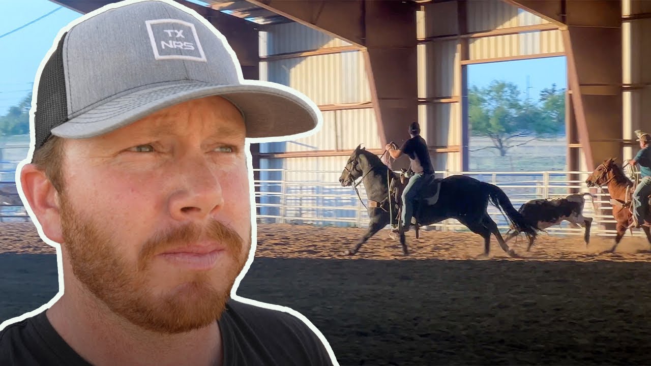 Team Roping Practice on EASY cattle - YouTube